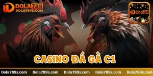 Casino đá gà C1 - Bật mí kinh nghiệm cược luôn thắng