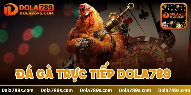 Đá gà trực tiếp - Trải nghiệm cá cược cực đỉnh cao