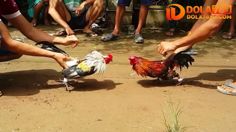 Trải nghiệm sống động như thật