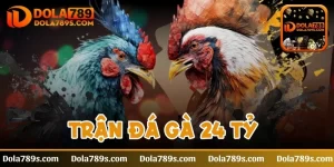 Trận đá gà 24 tỷ - Trải nghiệm cảm giác hồi hộp bậc nhất