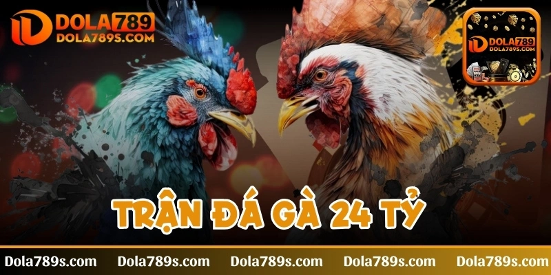 Trận đá gà 24 tỷ - Trải nghiệm cảm giác hồi hộp bậc nhất